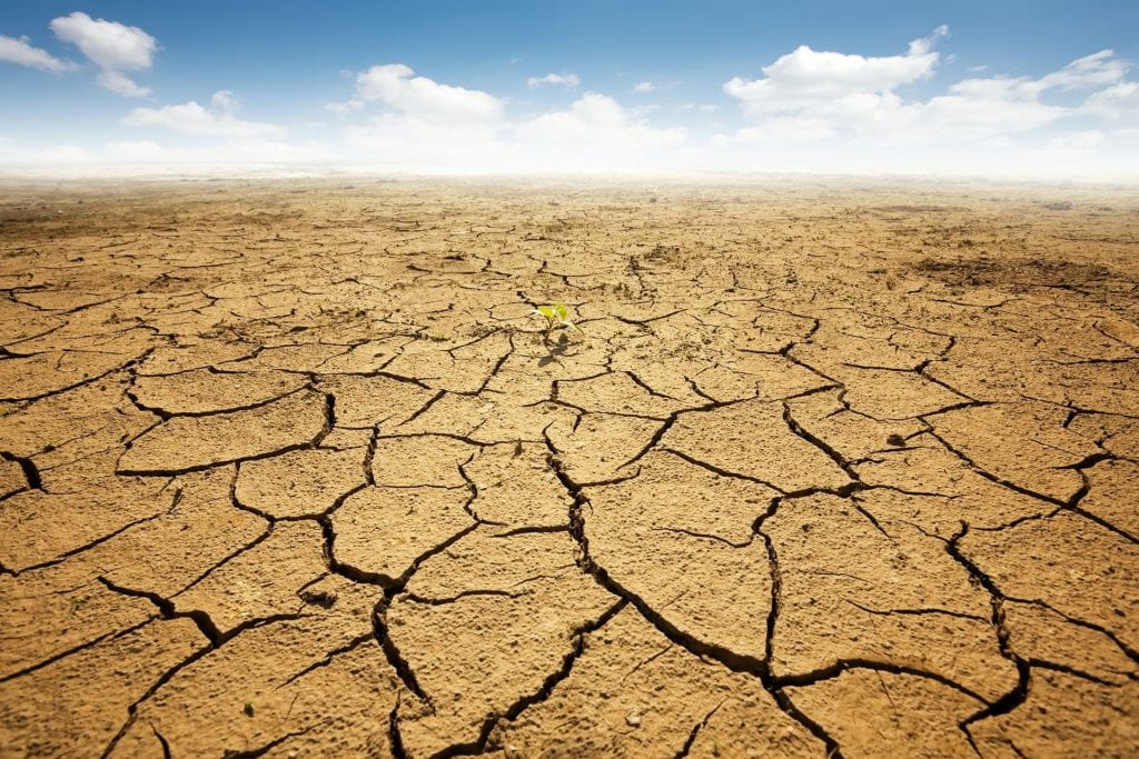 Desertification: dry and cracked soil under the sun